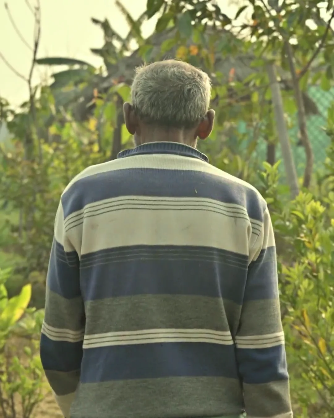 The storytelling film: hands washing produce under a running tap in a stone basin, a farmer crouched among the rows, and roots pulled from the ground with the soil still on them.
